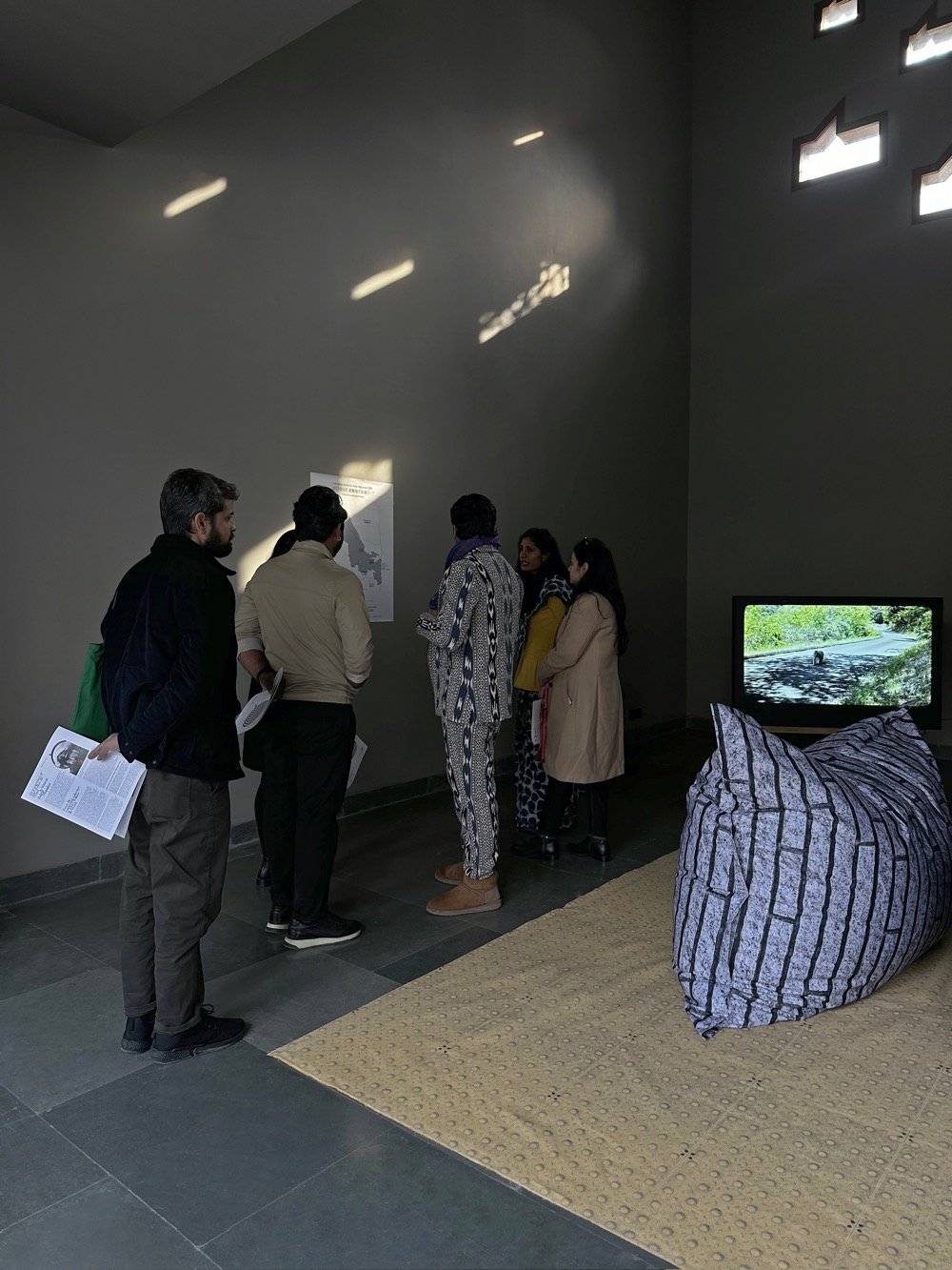 Don't_follow_the_wind_2024_Pollinator_11