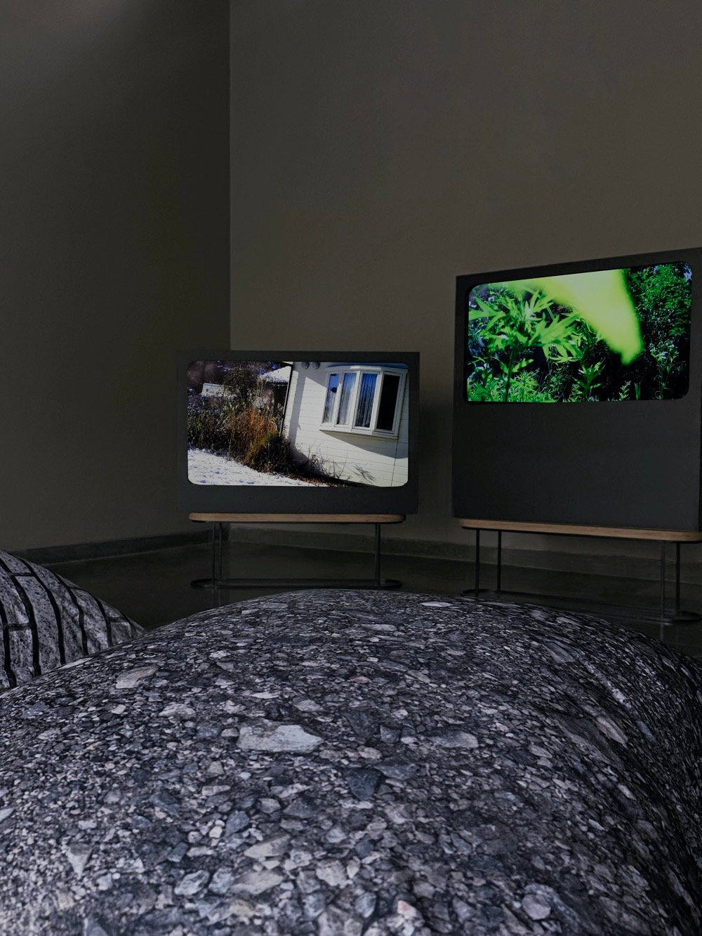 Don't_follow_the_wind_2024_Pollinator_2