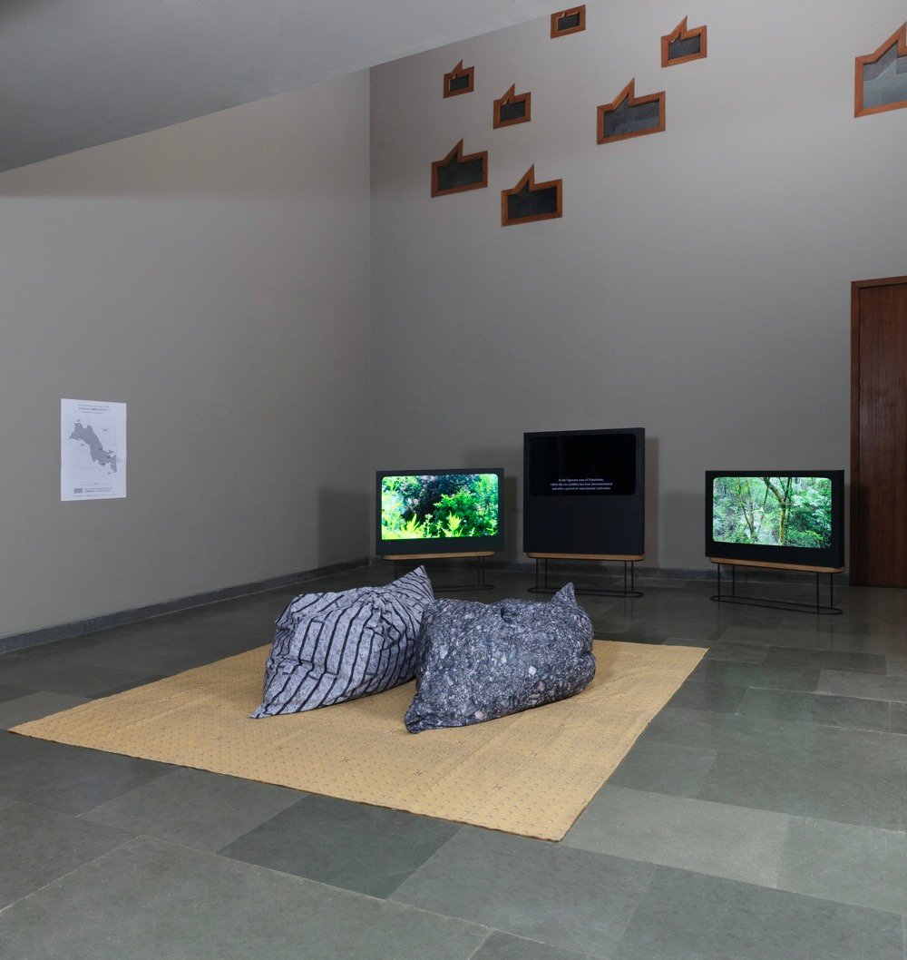 Don't_follow_the_wind_2024_Pollinator_3