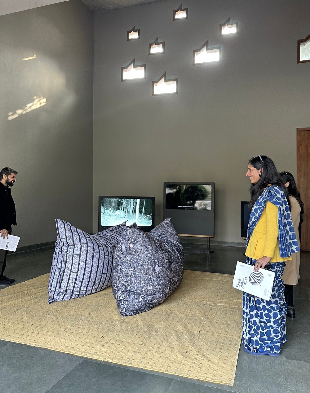 Don't_follow_the_wind_2024_Pollinator_9