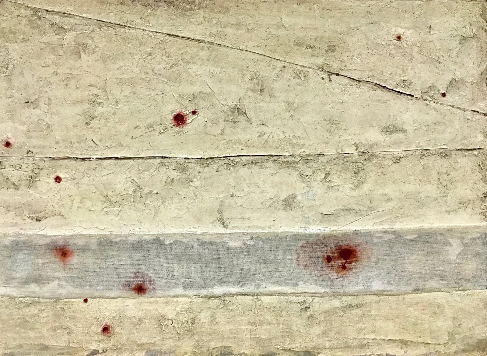 Alisha Sharma   |   artistalisha4@gmail.com