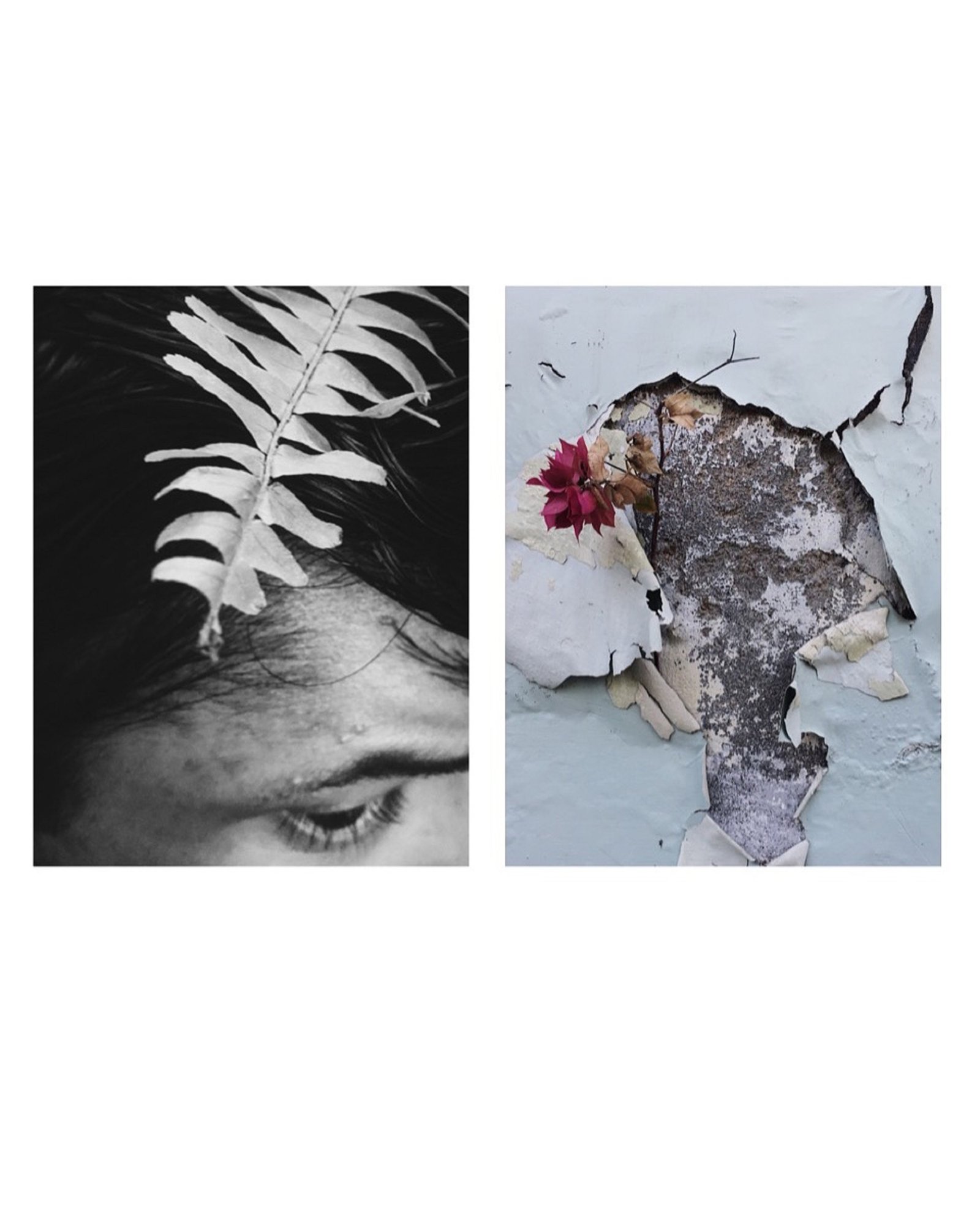 Ashima Raizada    |    ashraizada@gmail.com