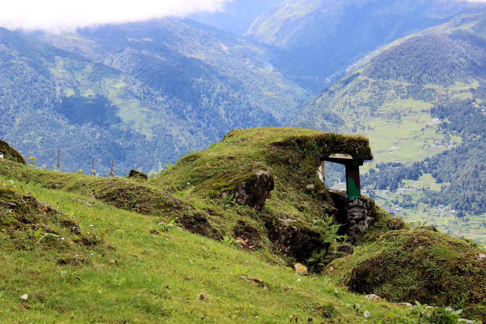 Ayush  |   
ayush002994@gmail.com