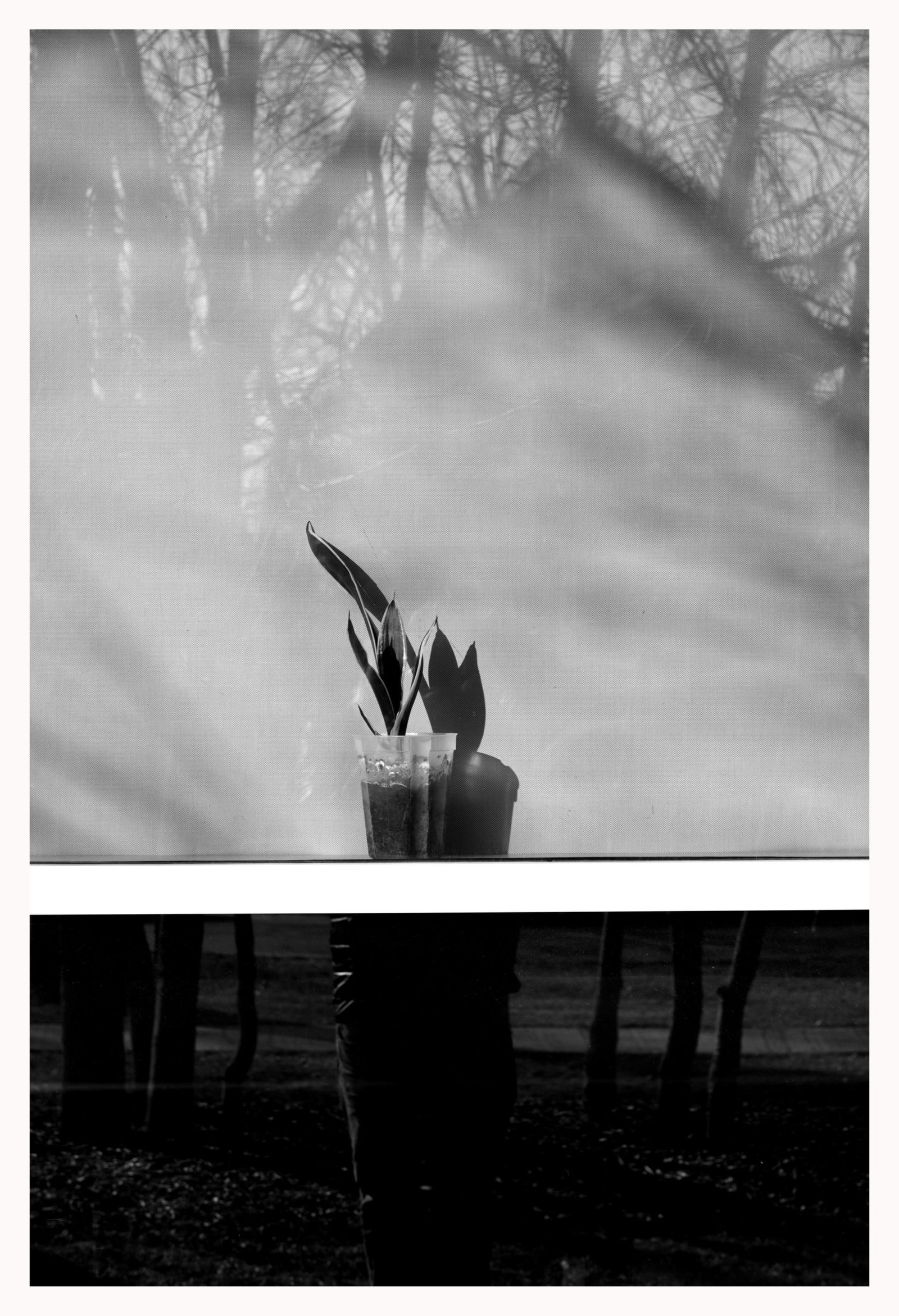 Jagpreet.  |.  
black_white76@yahoo.com