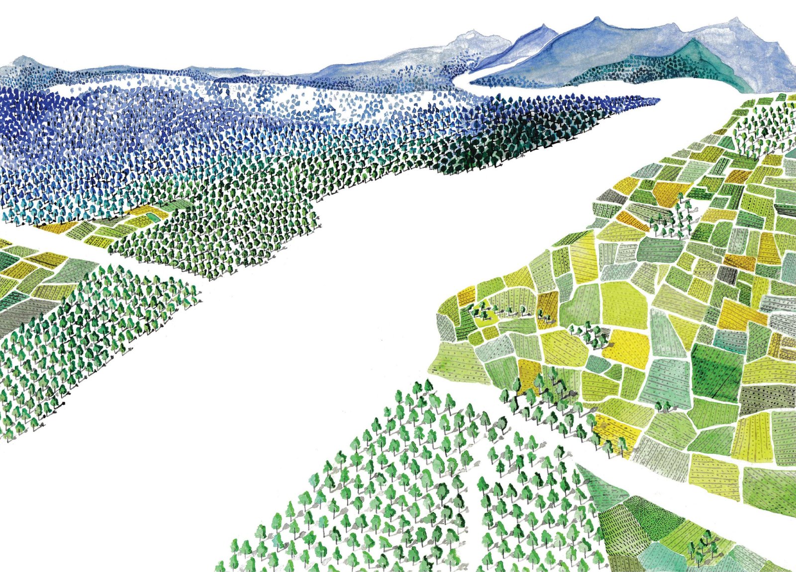 Sagarika Bhatia   |.  sagarikabhatia643@gmail.com