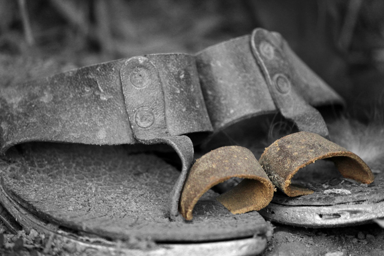 Supreet Sabia.  |.  supreetsabia@yahoo.com