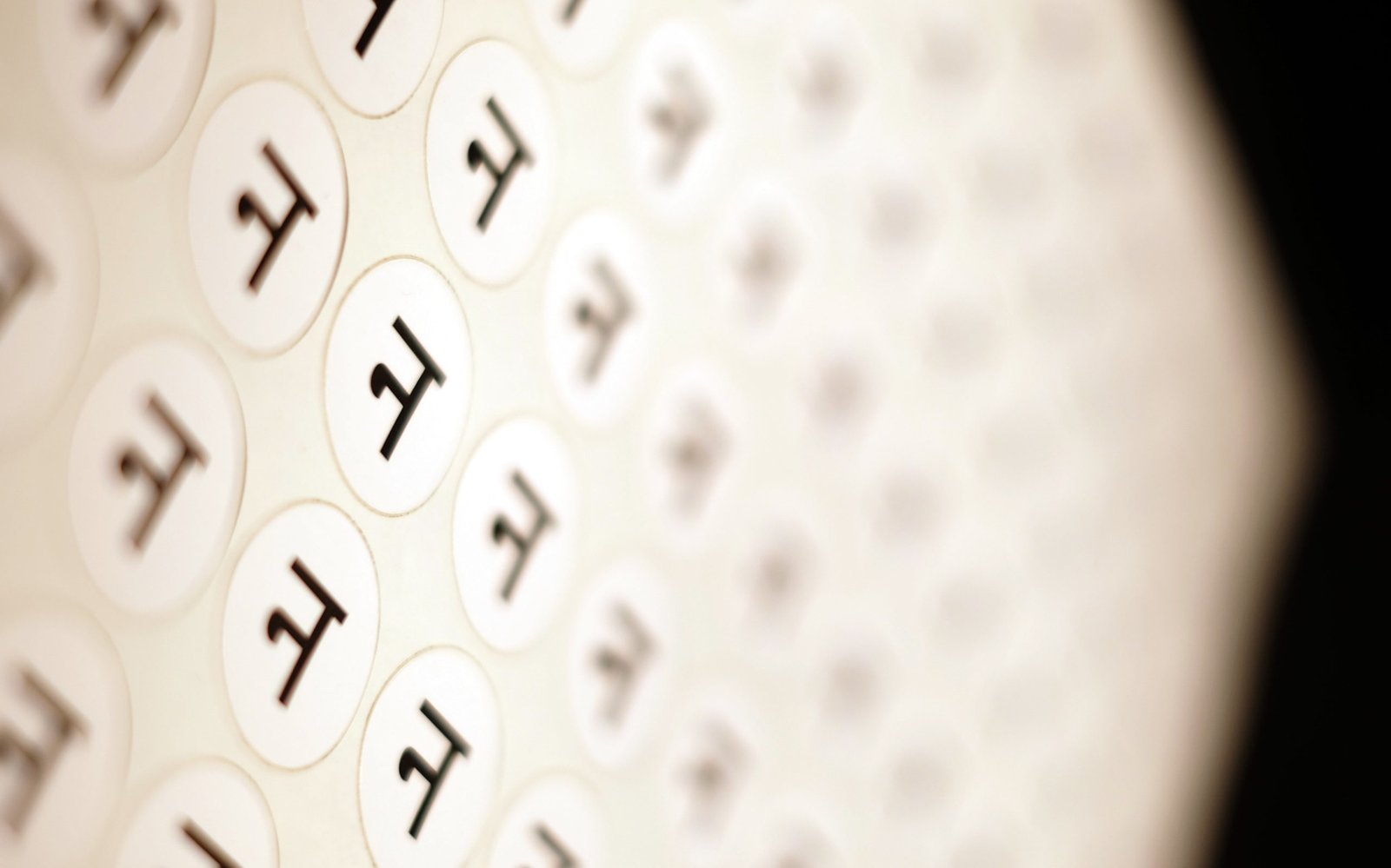 Pollinator_NP_01-scaled