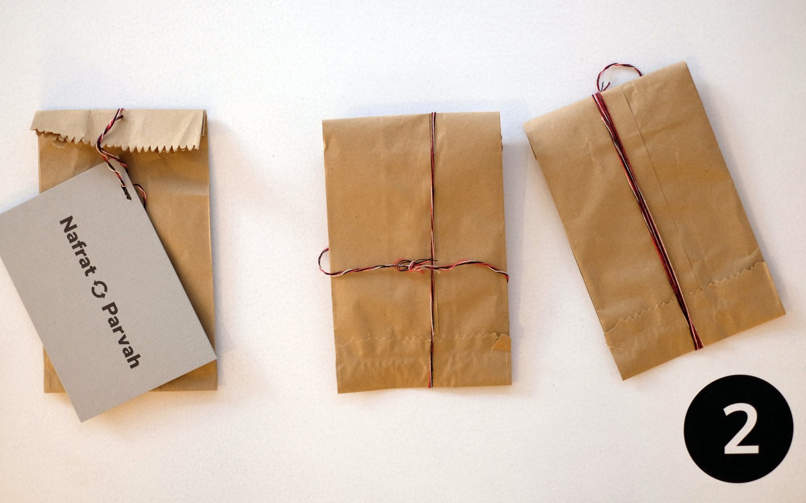 Pollinator_NP_14-scaled