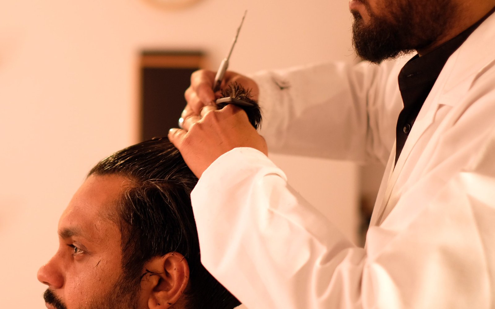 Pollinator_NP_24-scaled